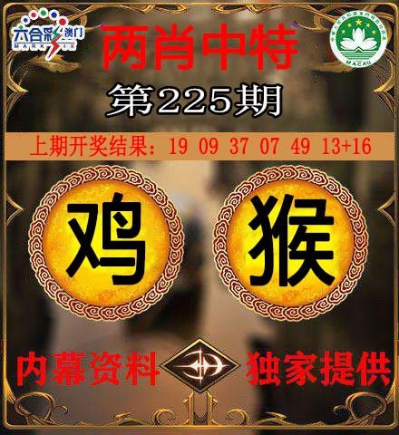 两肖中特