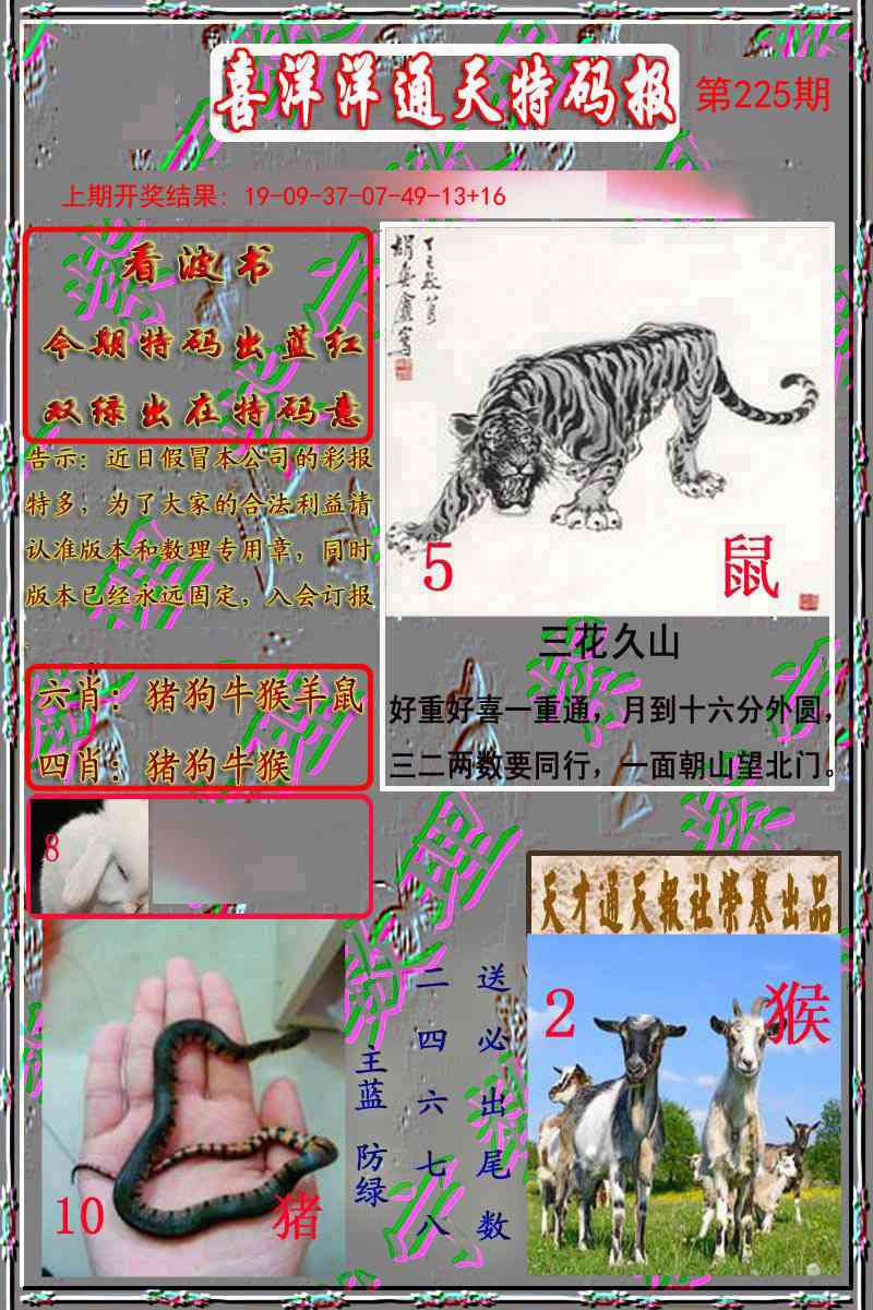洋通报