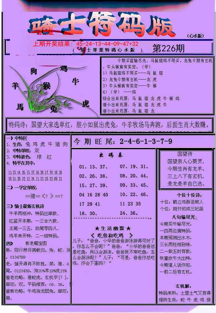 骑士特码版