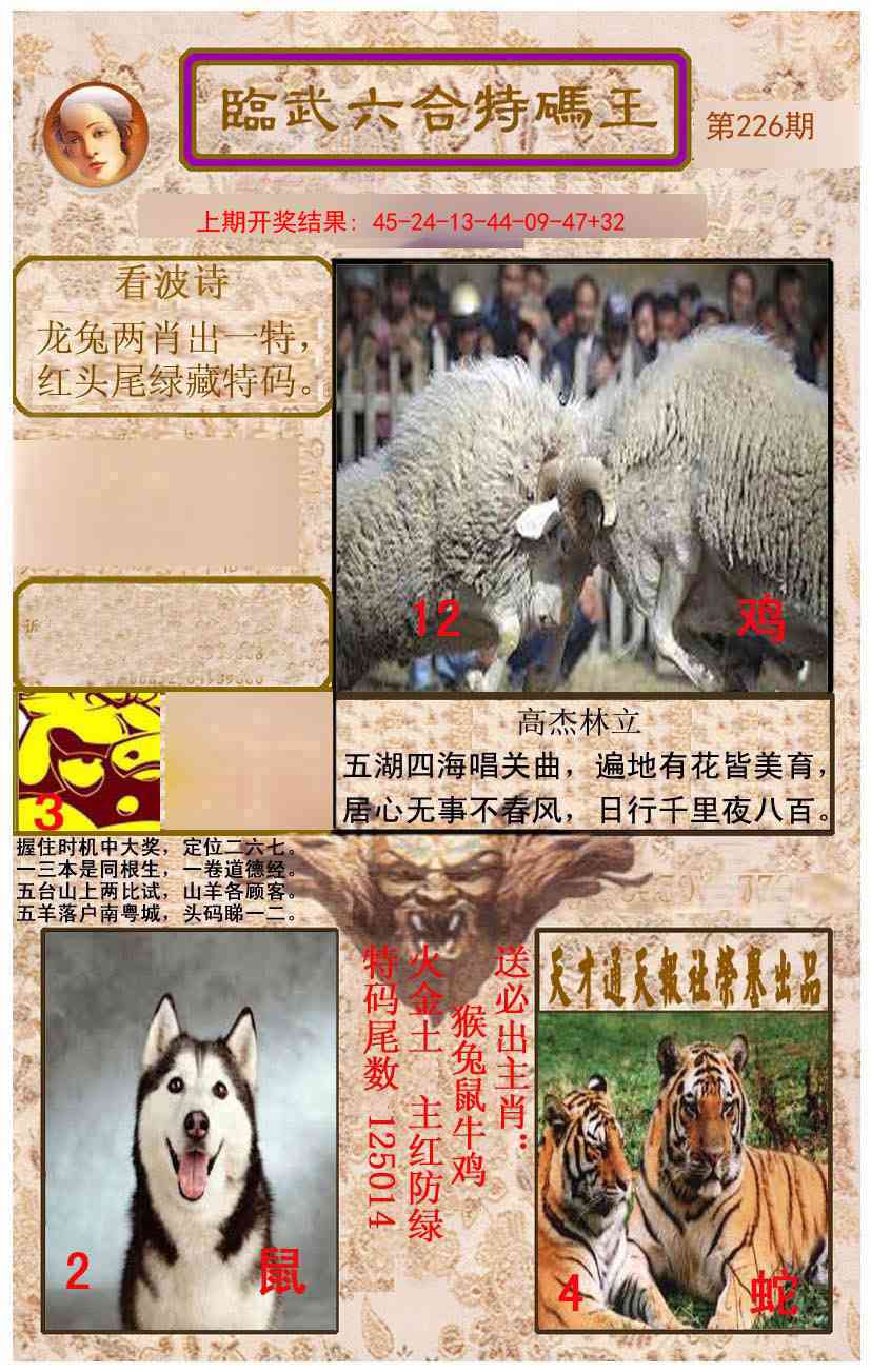 临武六合特码王