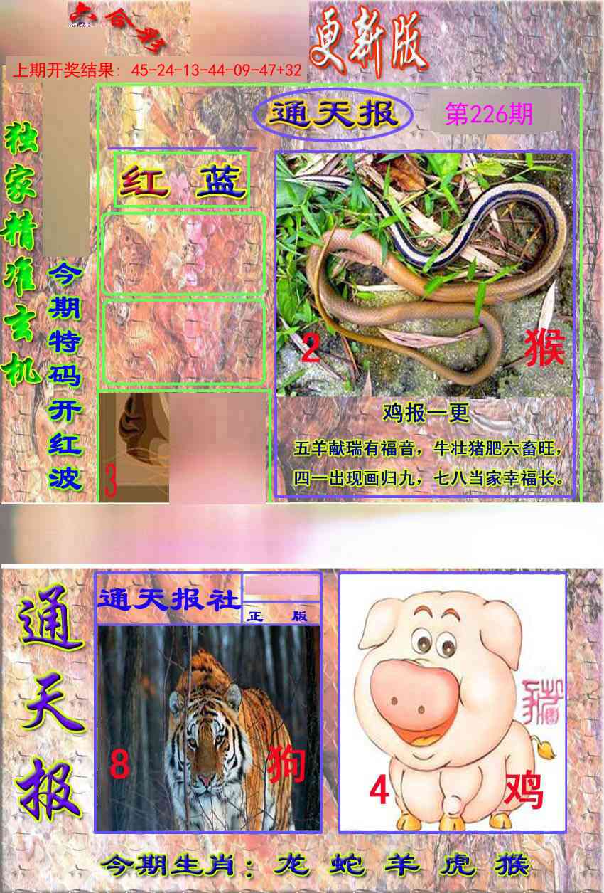 新通报