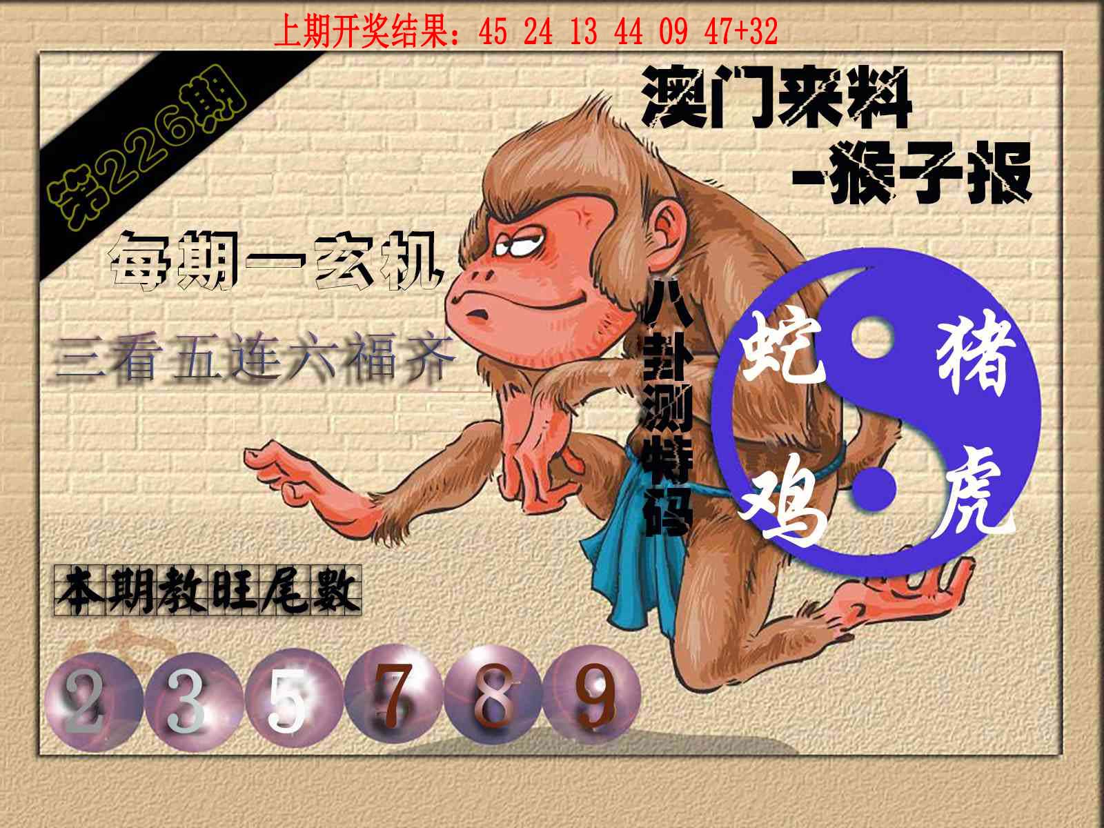 (来料)猴报