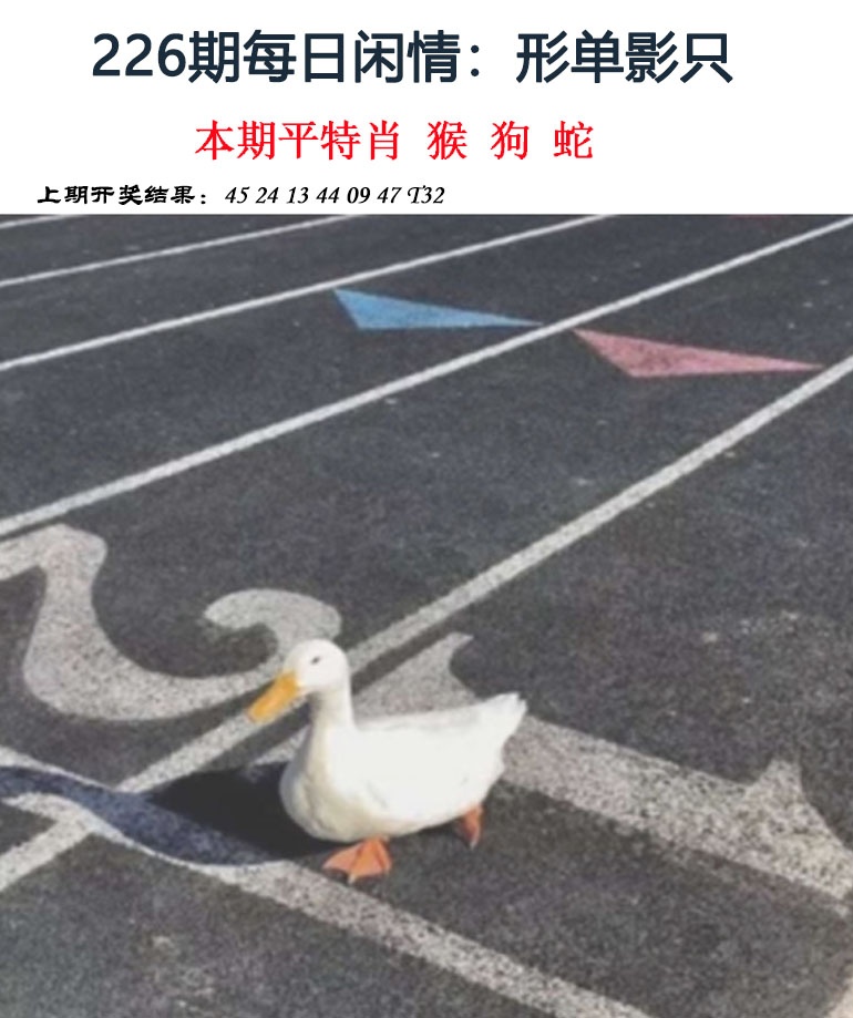 澳门天天好彩