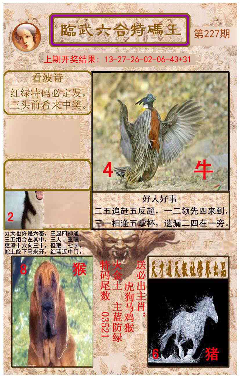 临武六合特码王