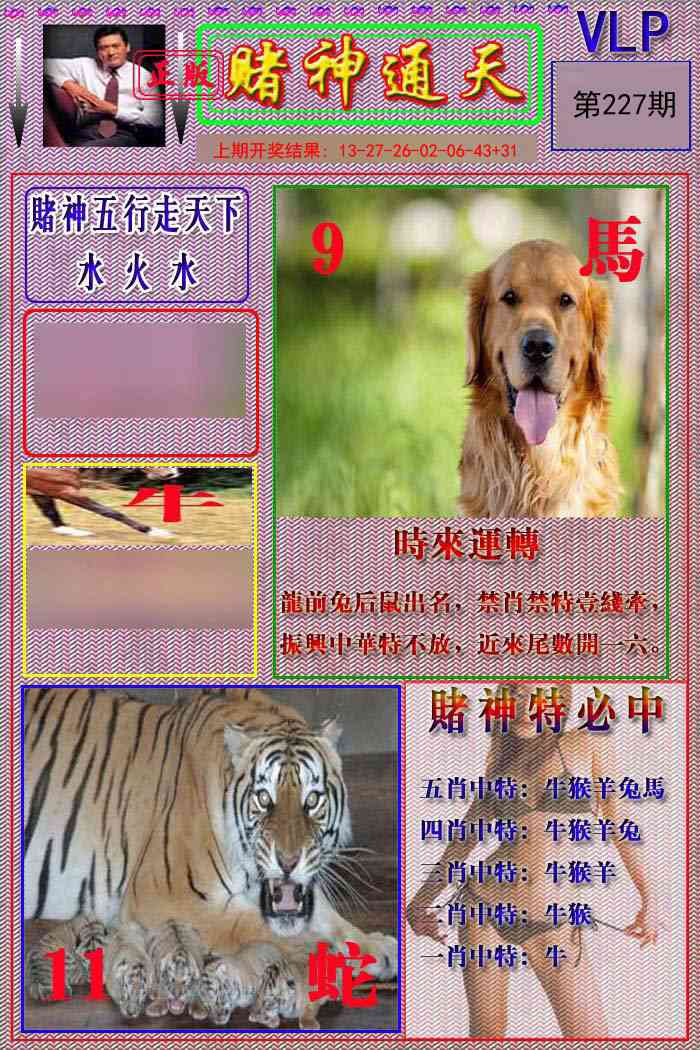 赌神通天报