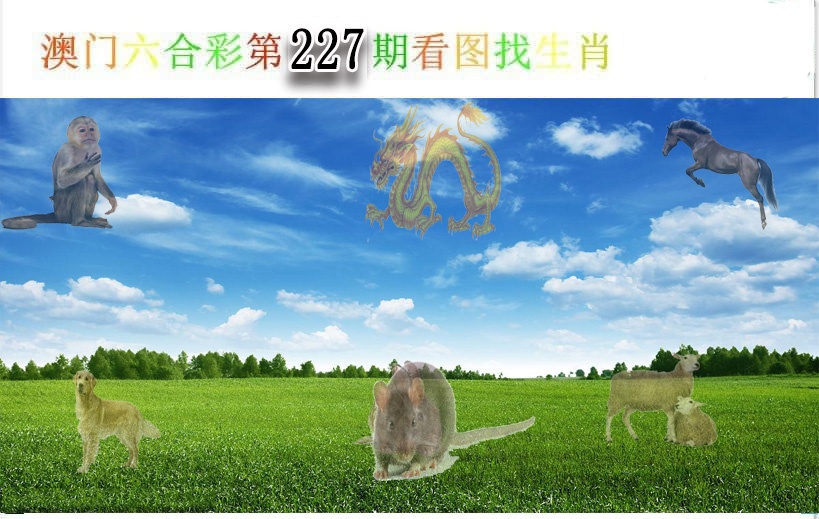 澳门刘半仙