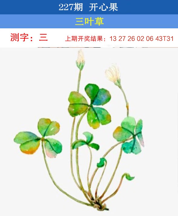 澳门刘半仙