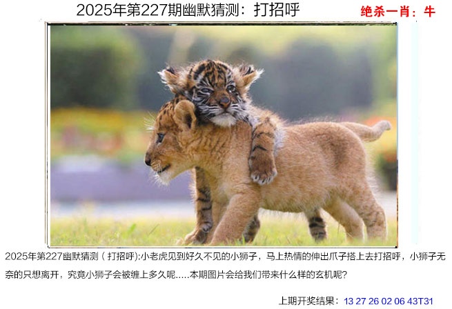 澳门刘半仙