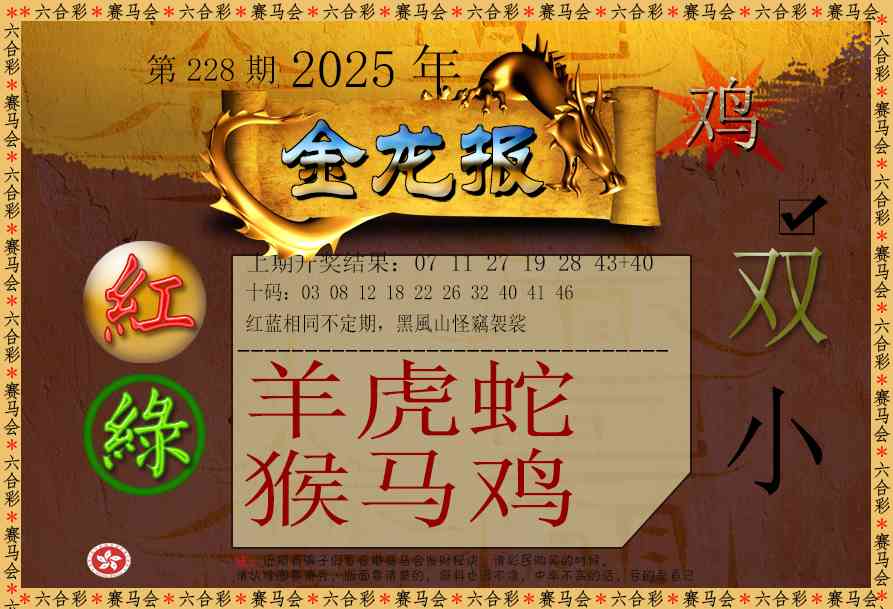 金龙报