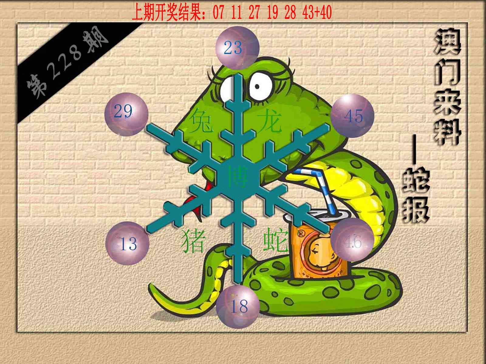 (来料)蛇报