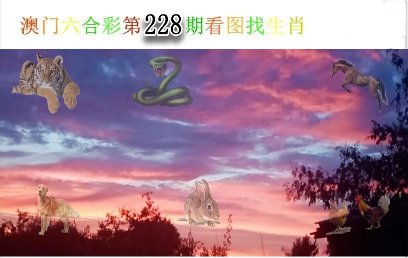 澳门刘半仙