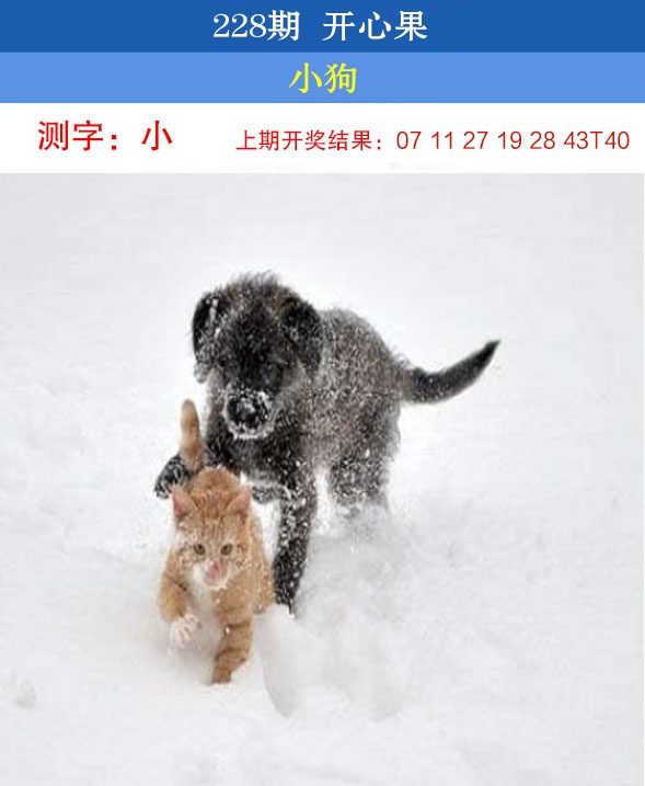 澳门刘半仙