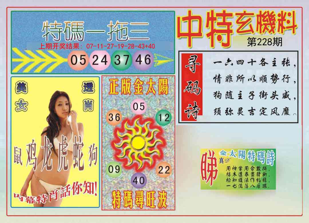中特玄机料