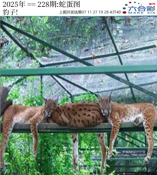 澳门刘半仙