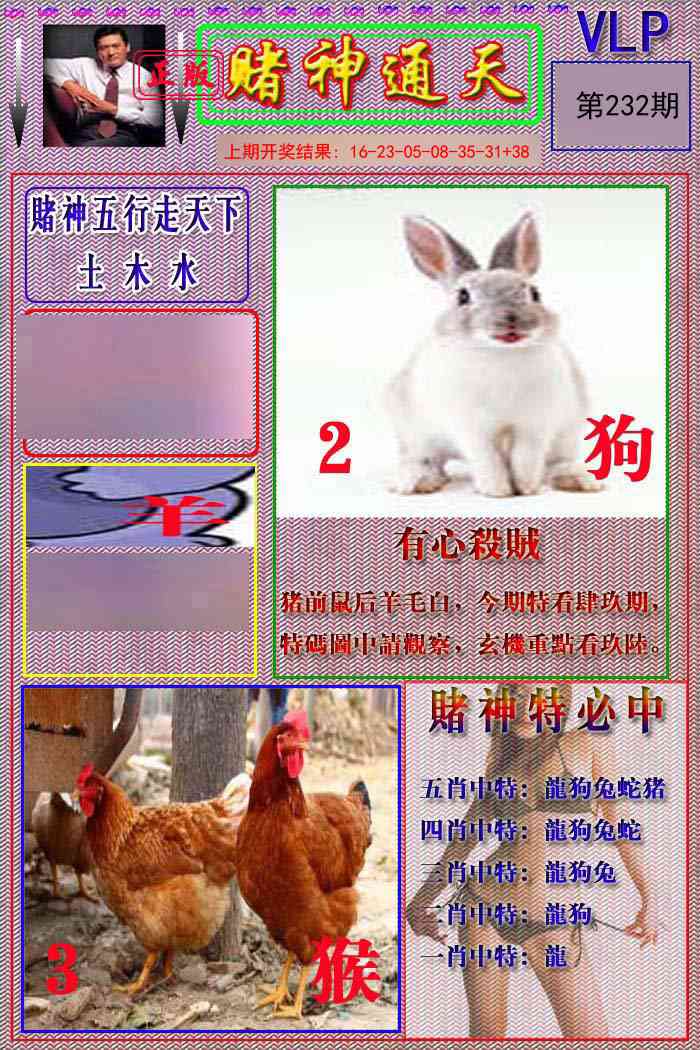 赌神通天报