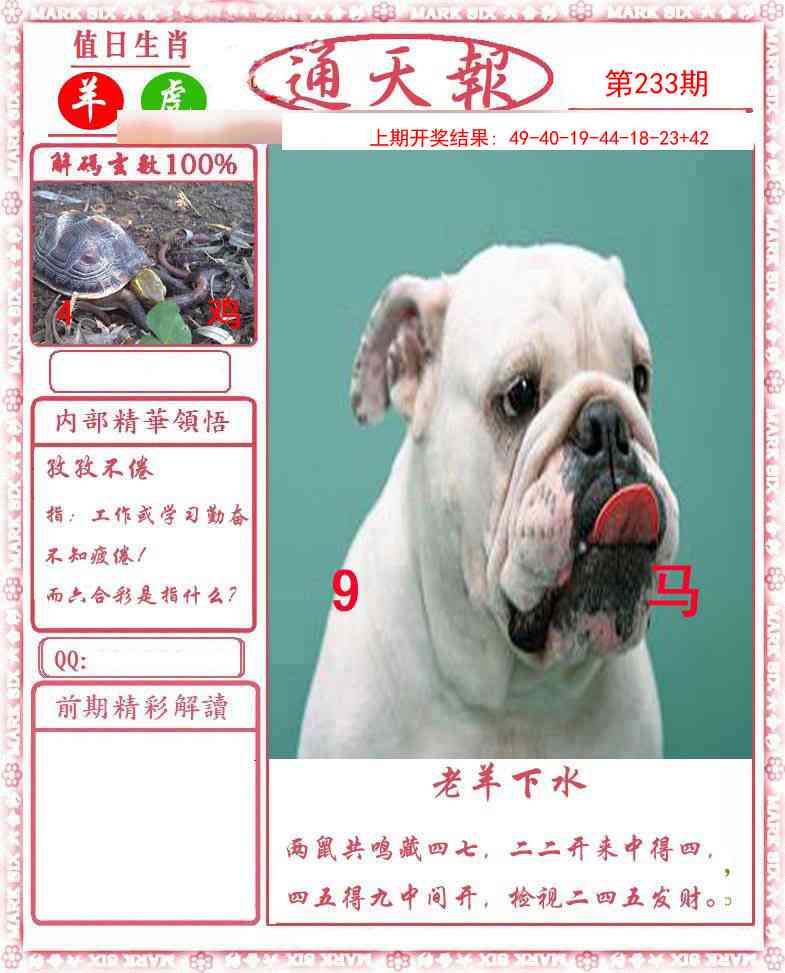 澳门横财富