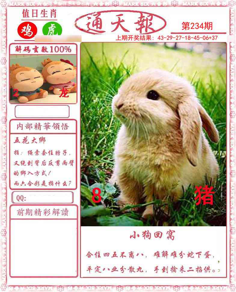 澳门横财富