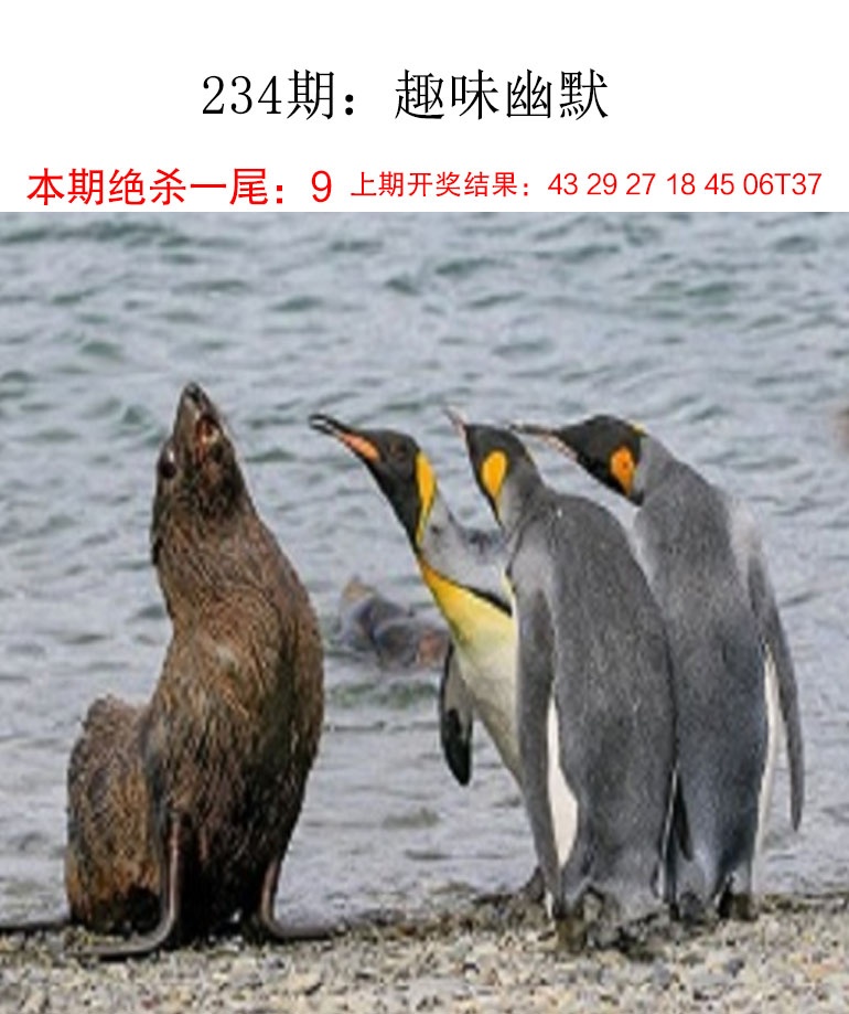 趣味幽默更新中...