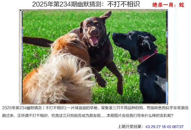 澳门横财富