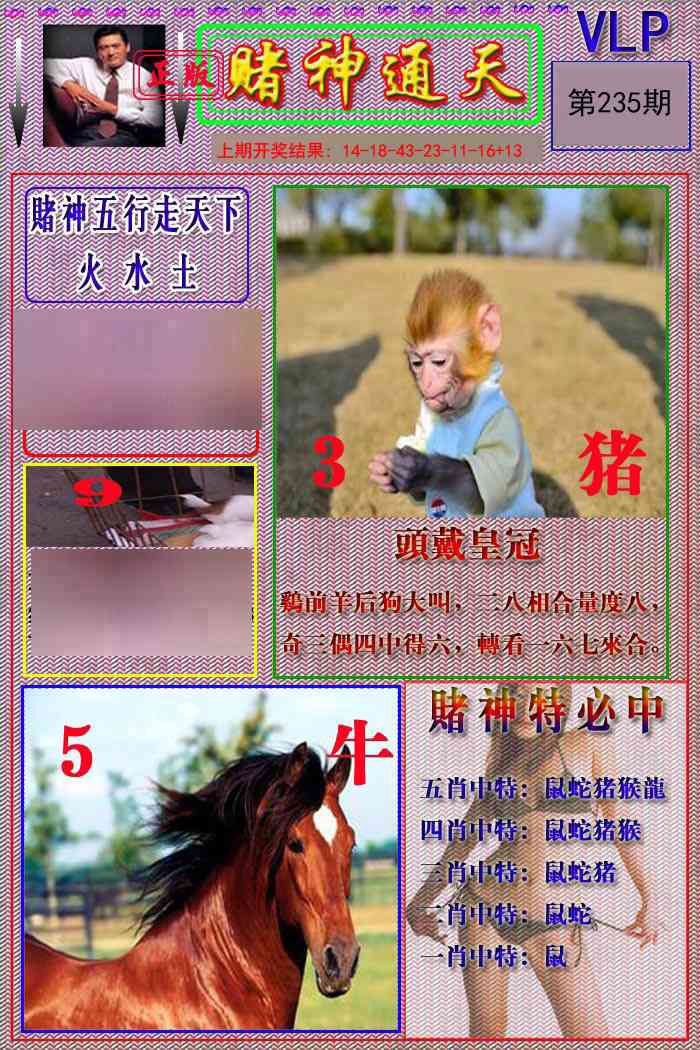赌神通天报