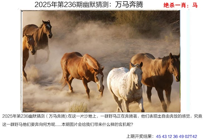 澳门刘半仙
