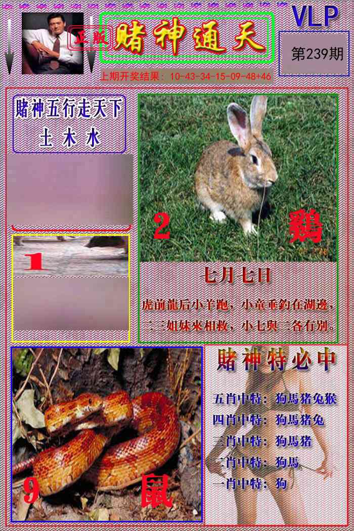 赌神通天报