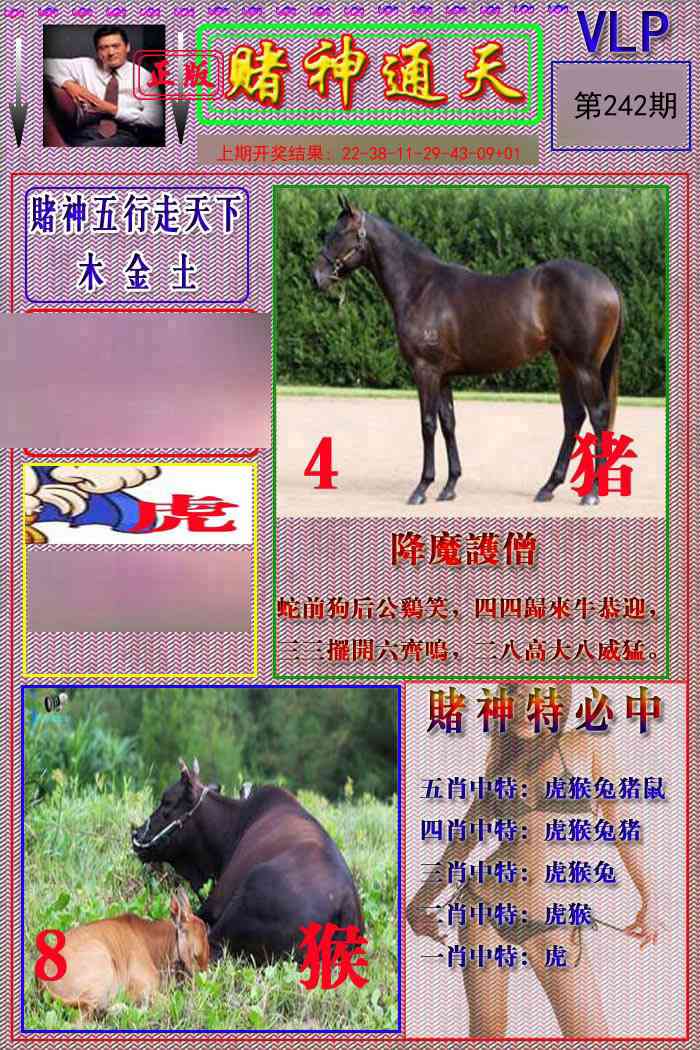 赌神通天报