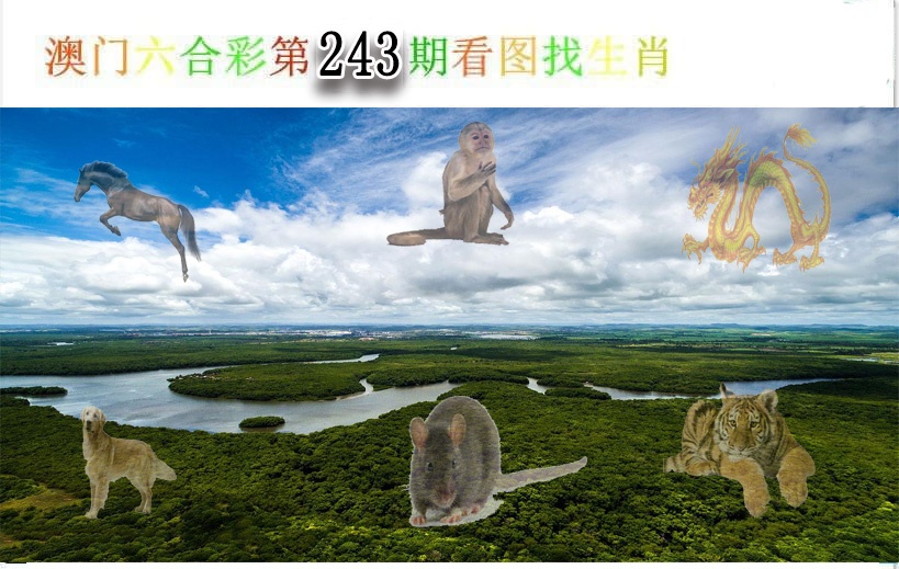 澳门掌中彩115589.com