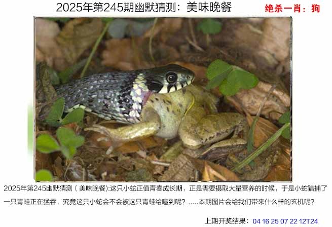 澳门刘半仙