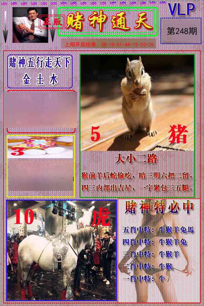 赌神通天报