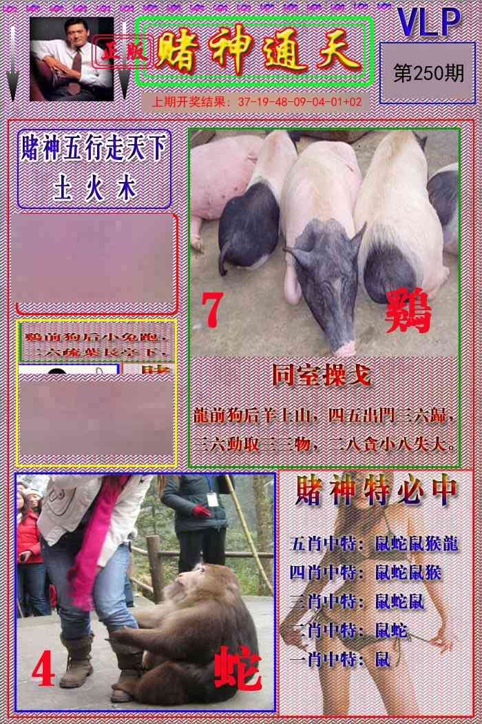 赌神通天报