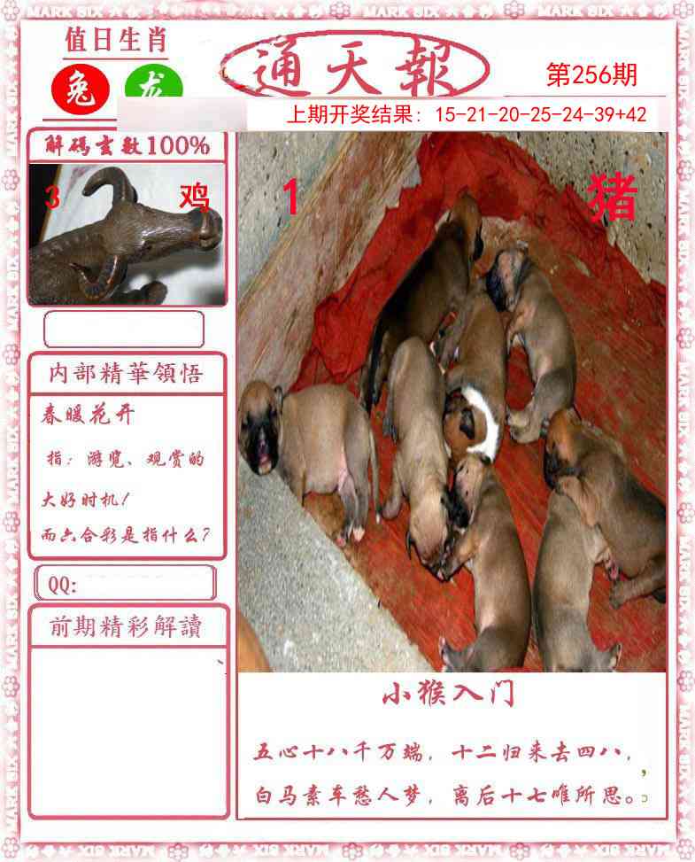 澳门大富翁