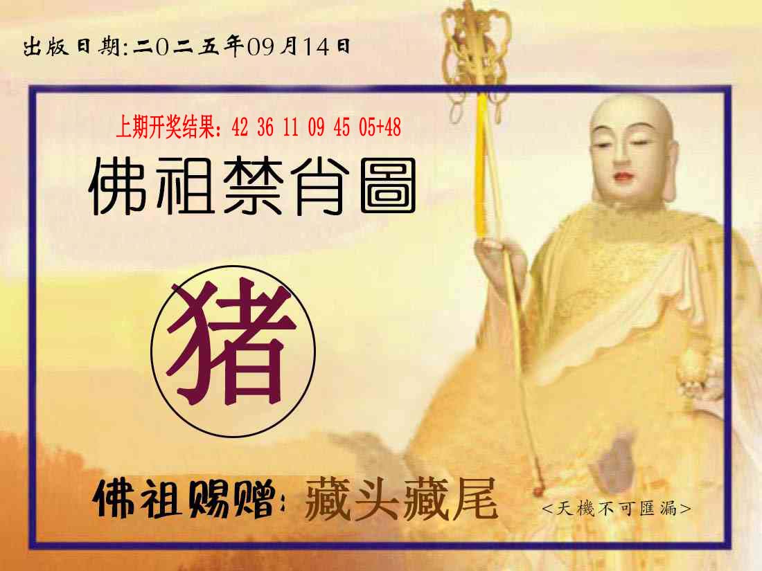 图片正在更新中……