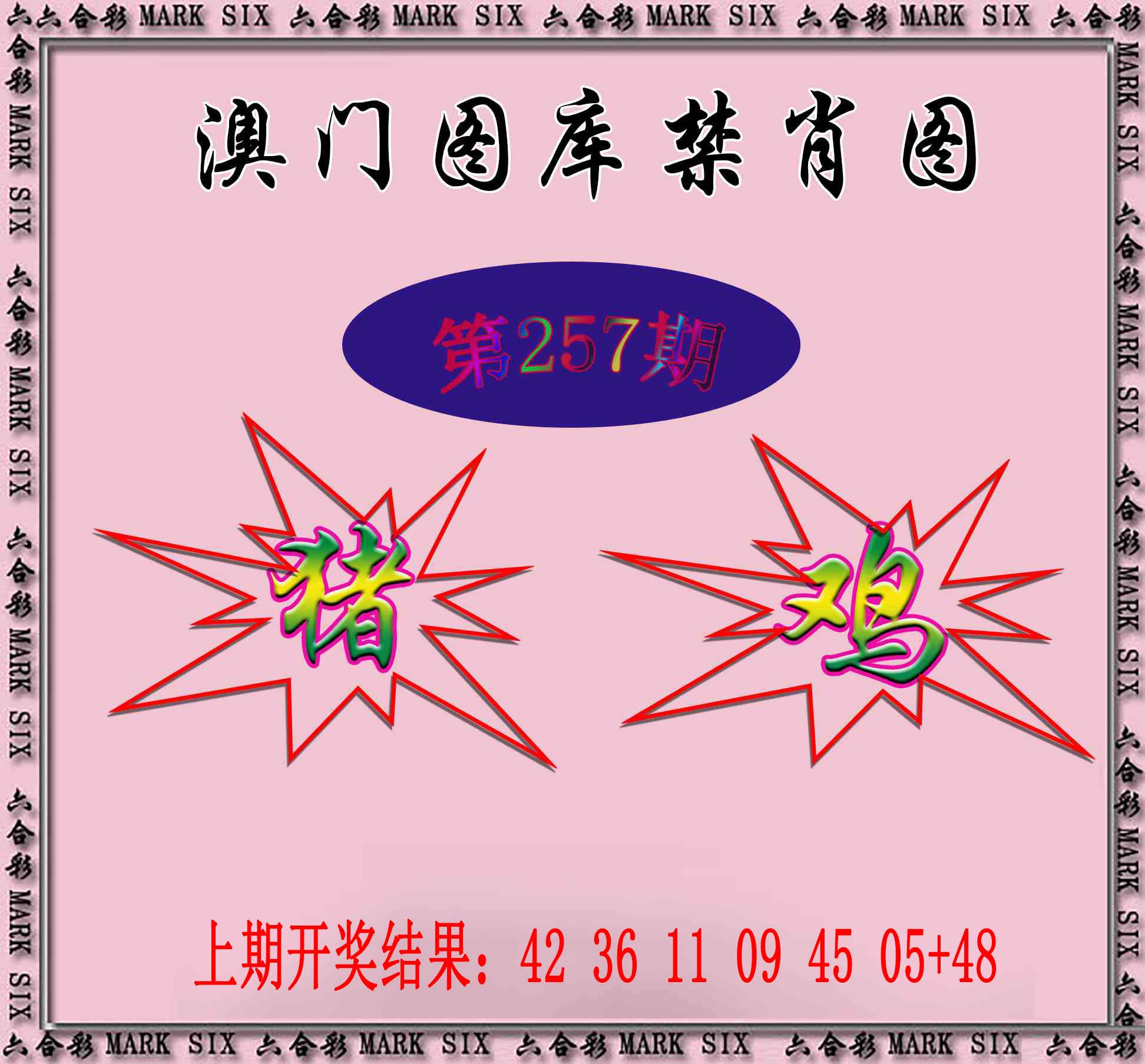 澳门天天好彩