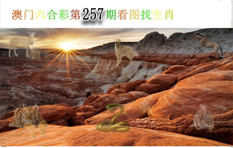 【澳门横财富】