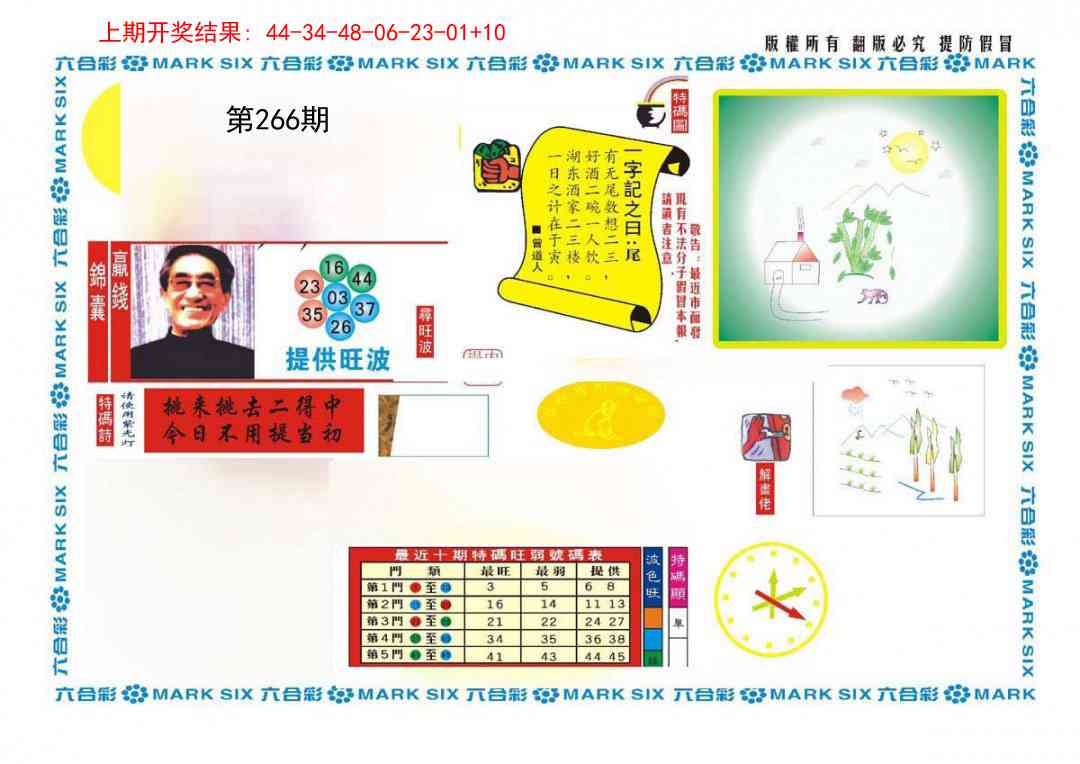 新特码王