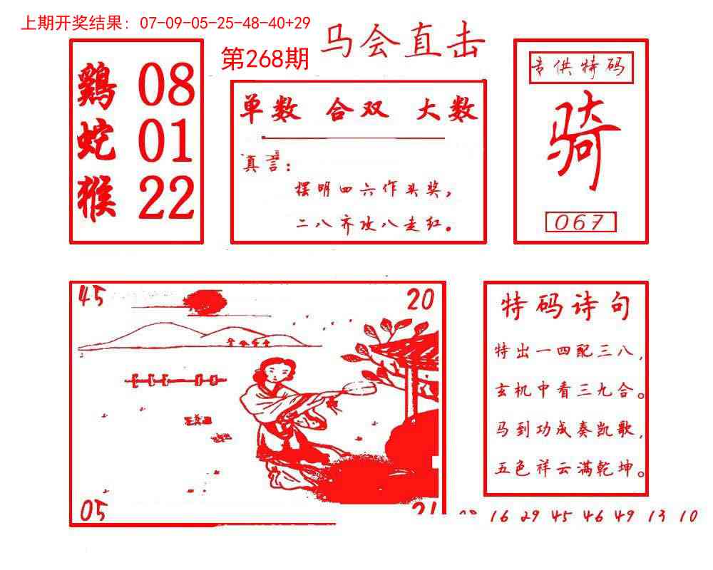 马会直击