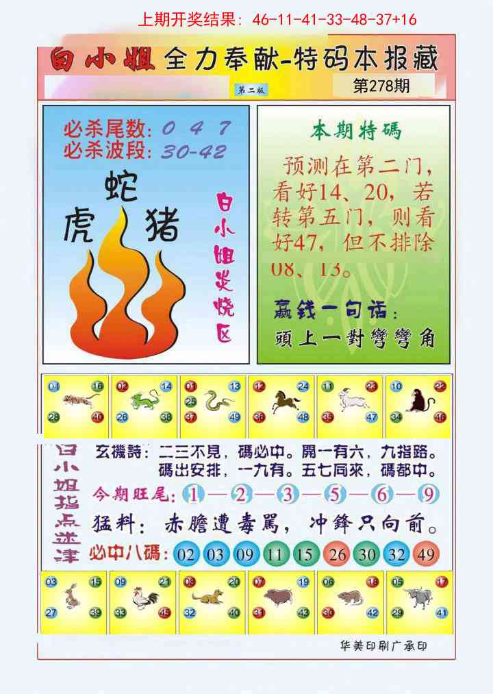澳门马会贴士