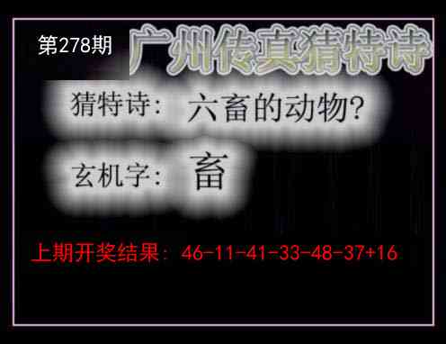 澳门马会贴士