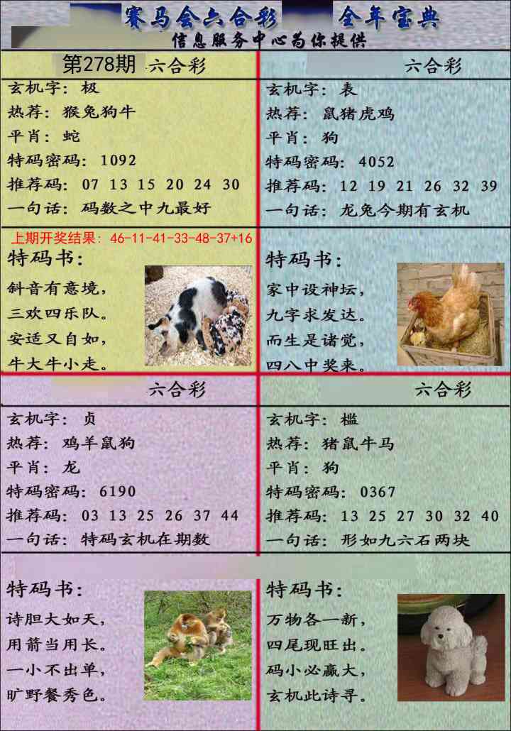 澳门马会贴士