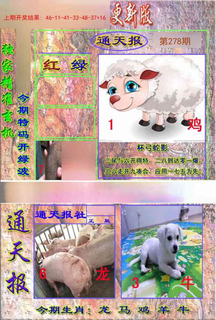 新通报