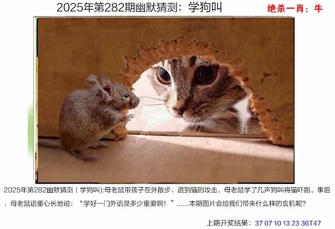 澳门刘半仙