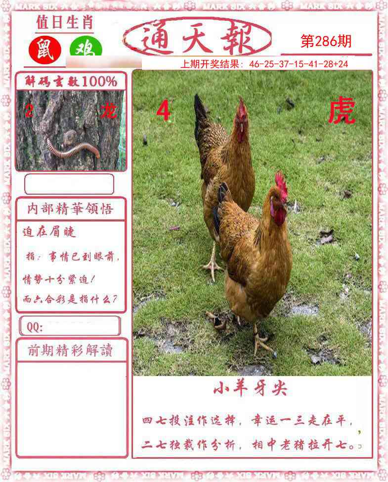 澳门大富翁