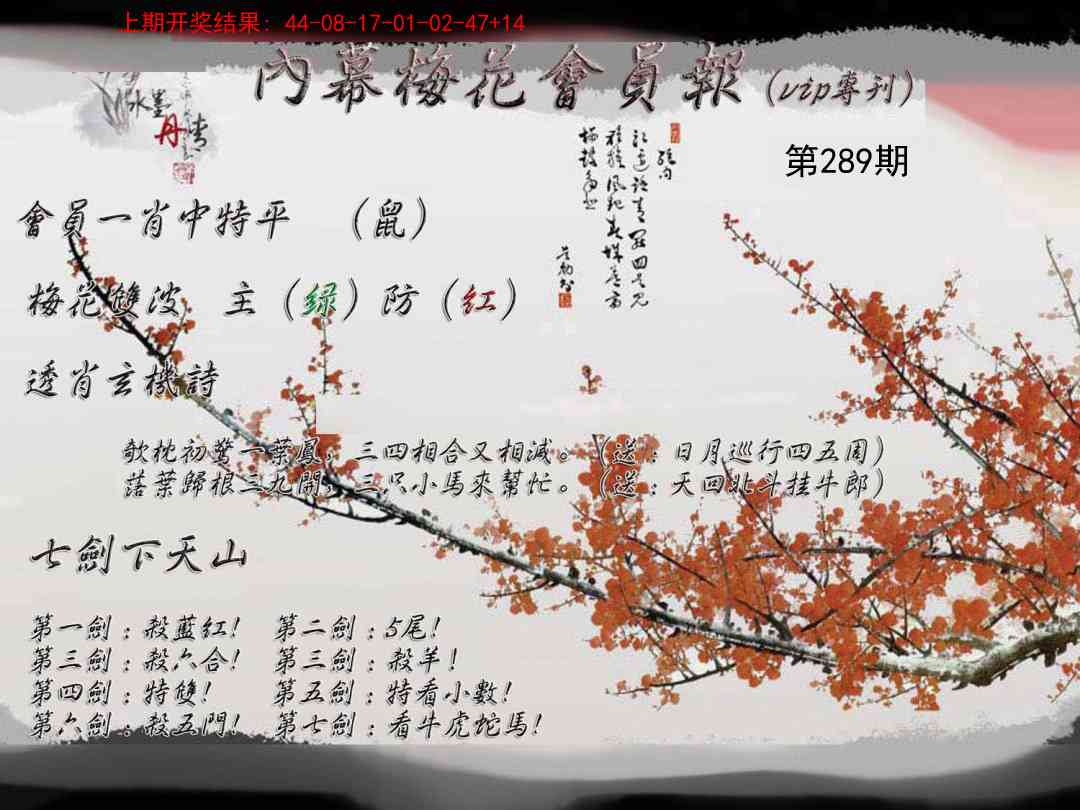 内幕梅花会员报