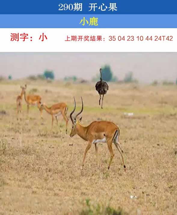 澳门掌中彩115589.com