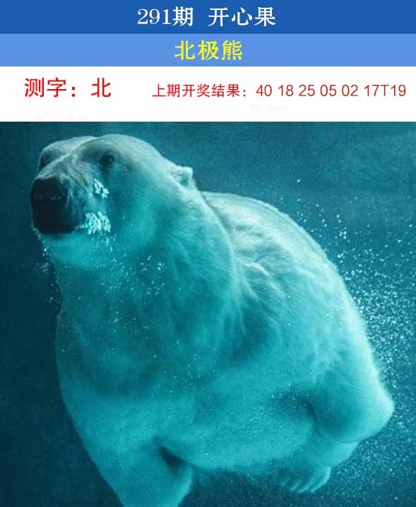 澳门刘半仙