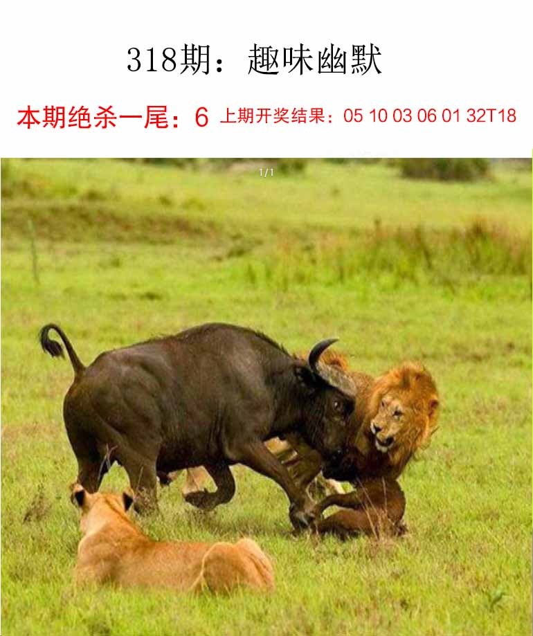 趣味幽默更新中...