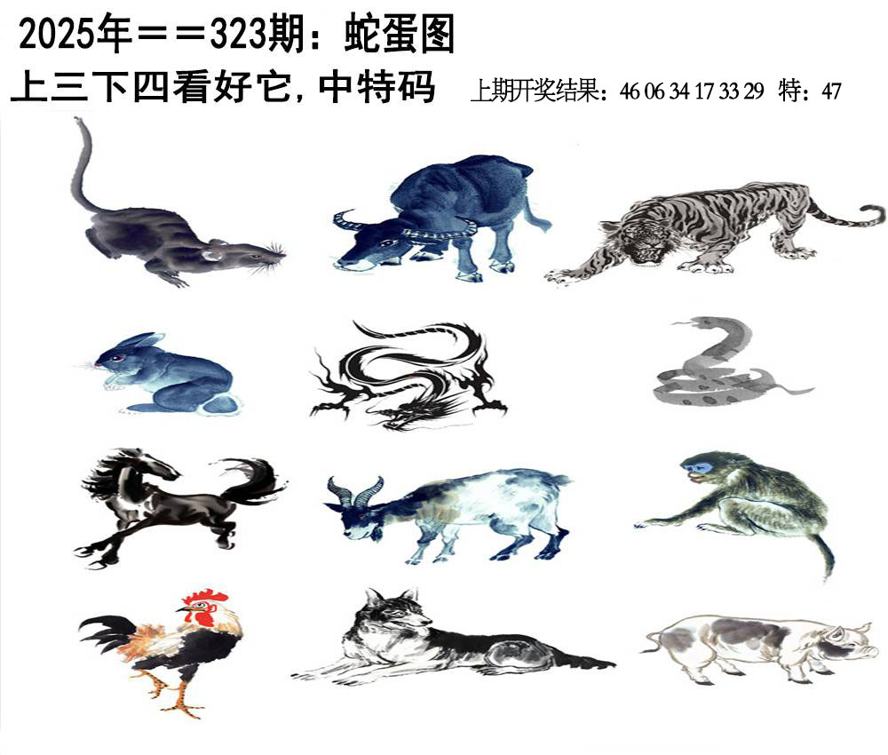 图片资料正在更新中……