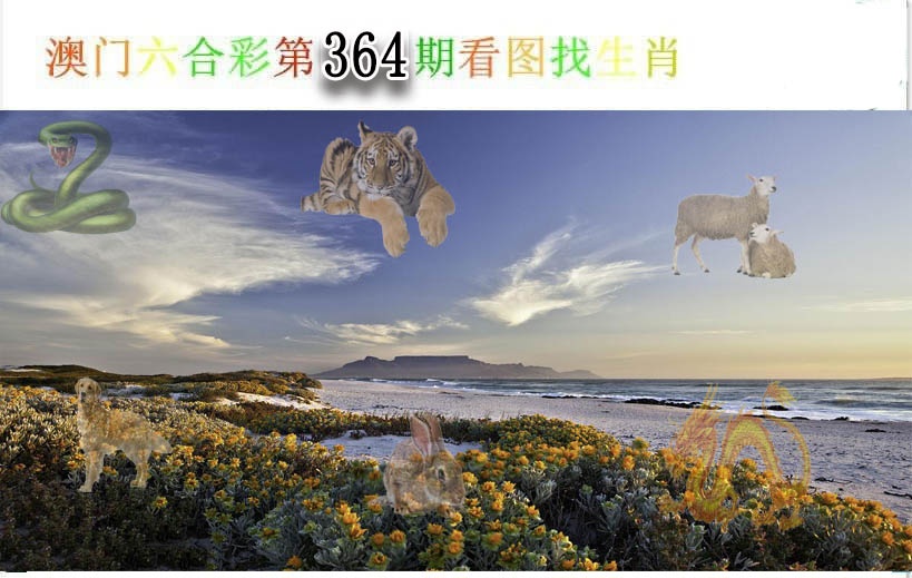 【澳门横财富】