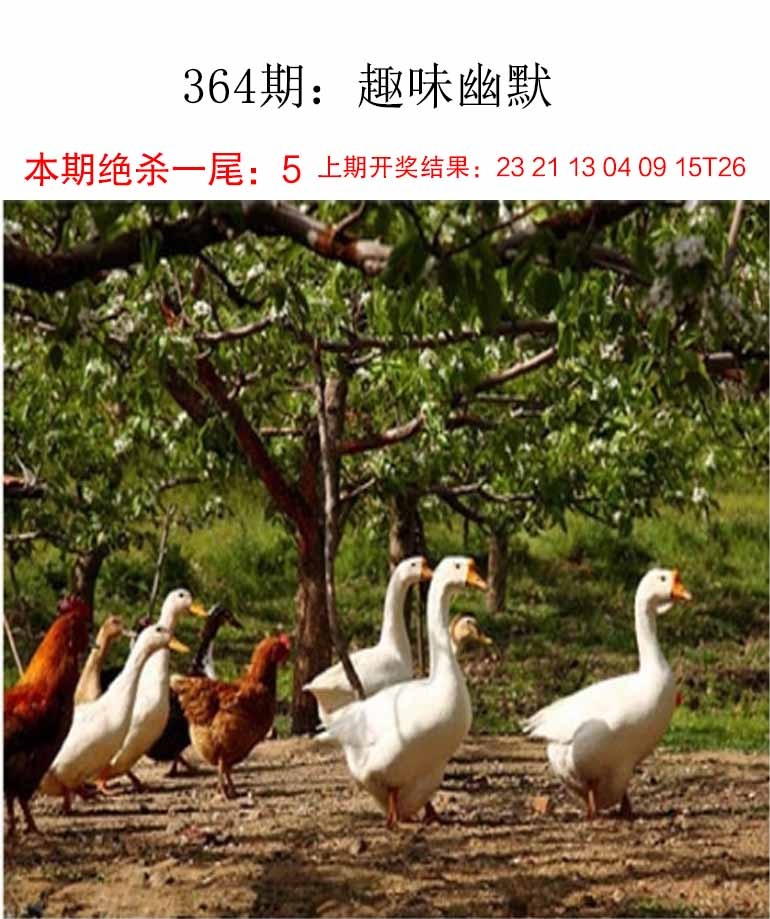 趣味幽默更新中...